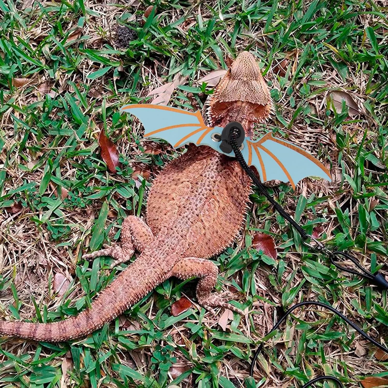 Bearded Dragon Harness, Blue, Wing Style, Animal Harness, 3 Size Pack, Soft Leather, Durable Nylon Rope, Removable Leash, Suitable for Baby to Adult Beardies