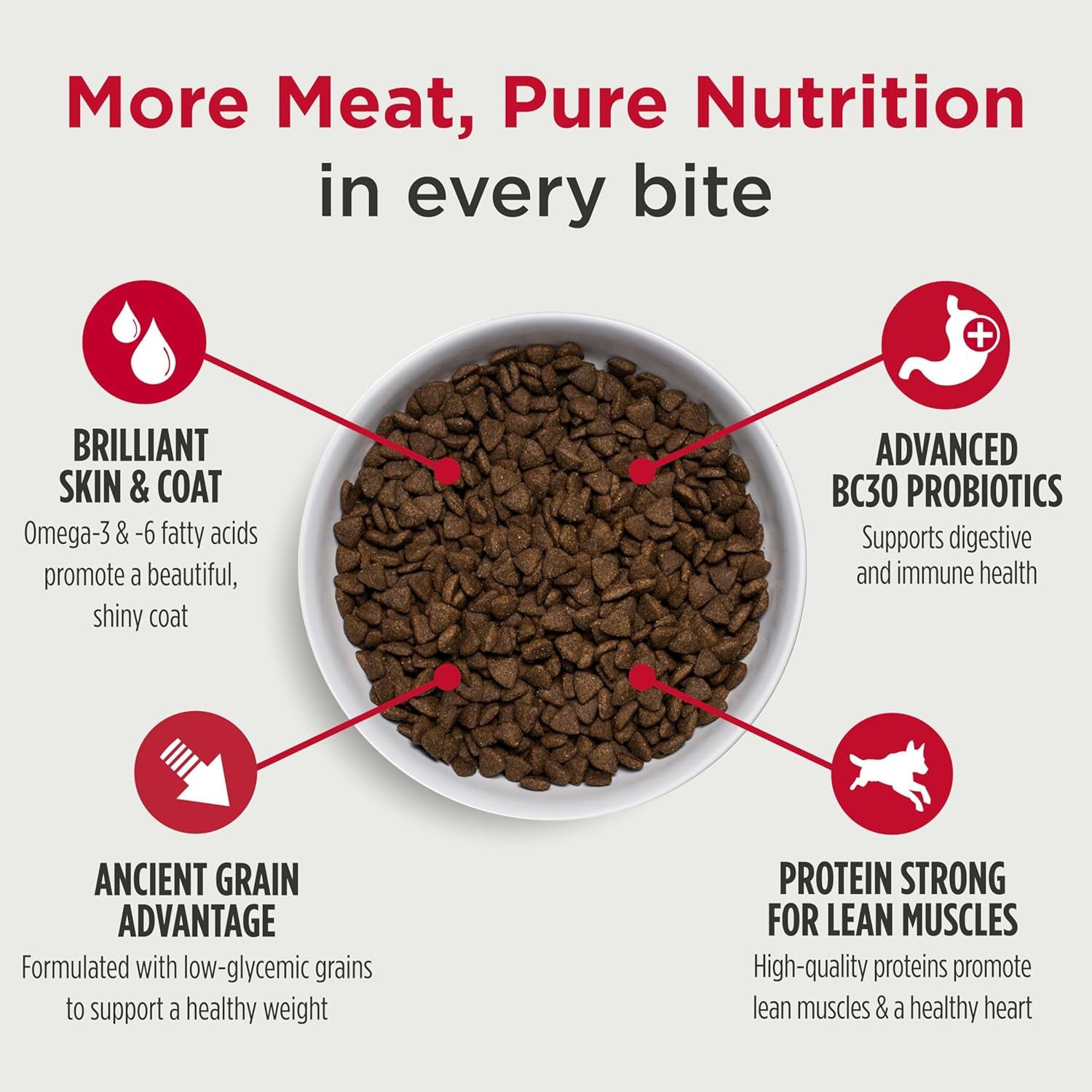 Frontrunner Ancient Grains High-Protein Dog Food, Pork, Barley, & Beef Recipe- Natural Dry Dog Food with Probiotics, Grain-Inclusive Kibble for Adult Dogs, 25 Lb Bag