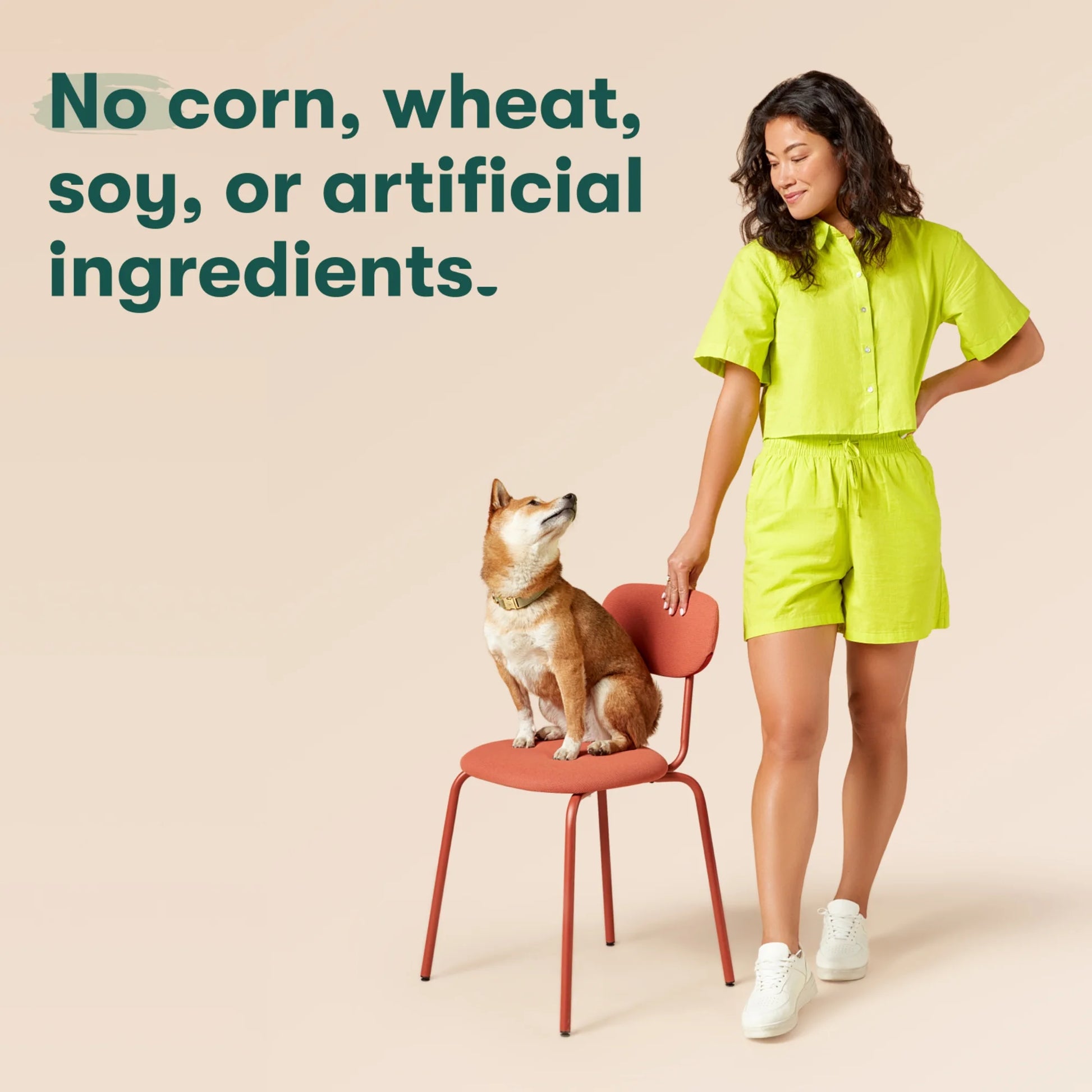 Chicken Flavor Dental Treats for Small Dogs, 8.8 Oz Bag, 13 Treats