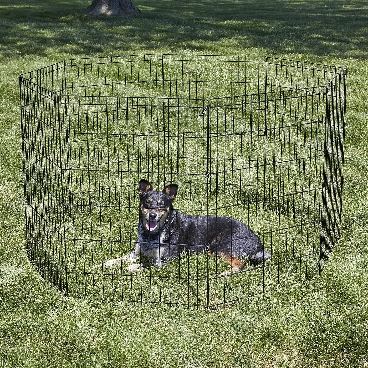 Dog Exercise Pen & Playpen, 24" W X 36" H, No Door, Black