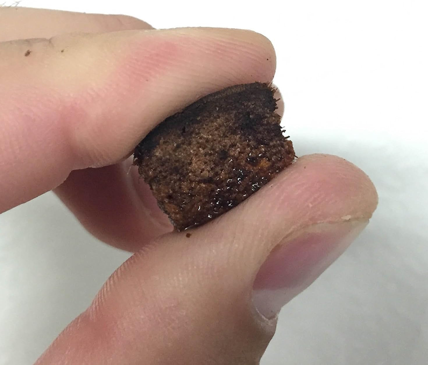 Reptichip Reptile Bedding Loose Coconut Chip 12 Quart 2 Pack Coco Husk Substrate Mulch for Snake Habitat, Ball Python Terrarium, Turtle Tanks, Tortoise Enclosure