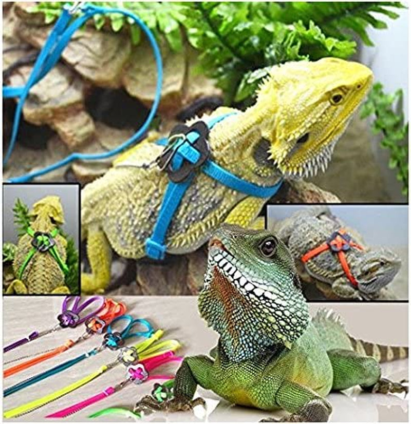 Adjustable Reptile Lizard Harness Leash Adjustable Multicolor Light Soft Fashion