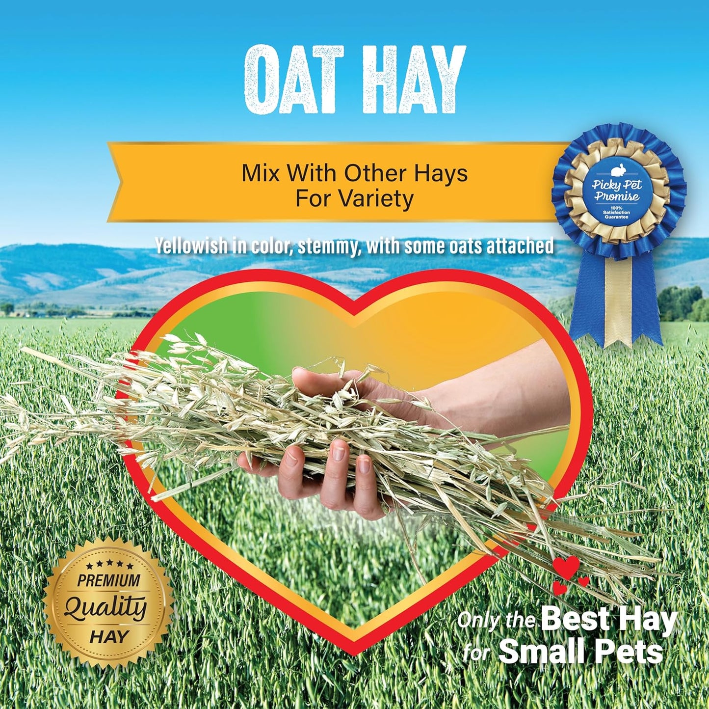 Oat Hay Pet Food, 10 Lb.