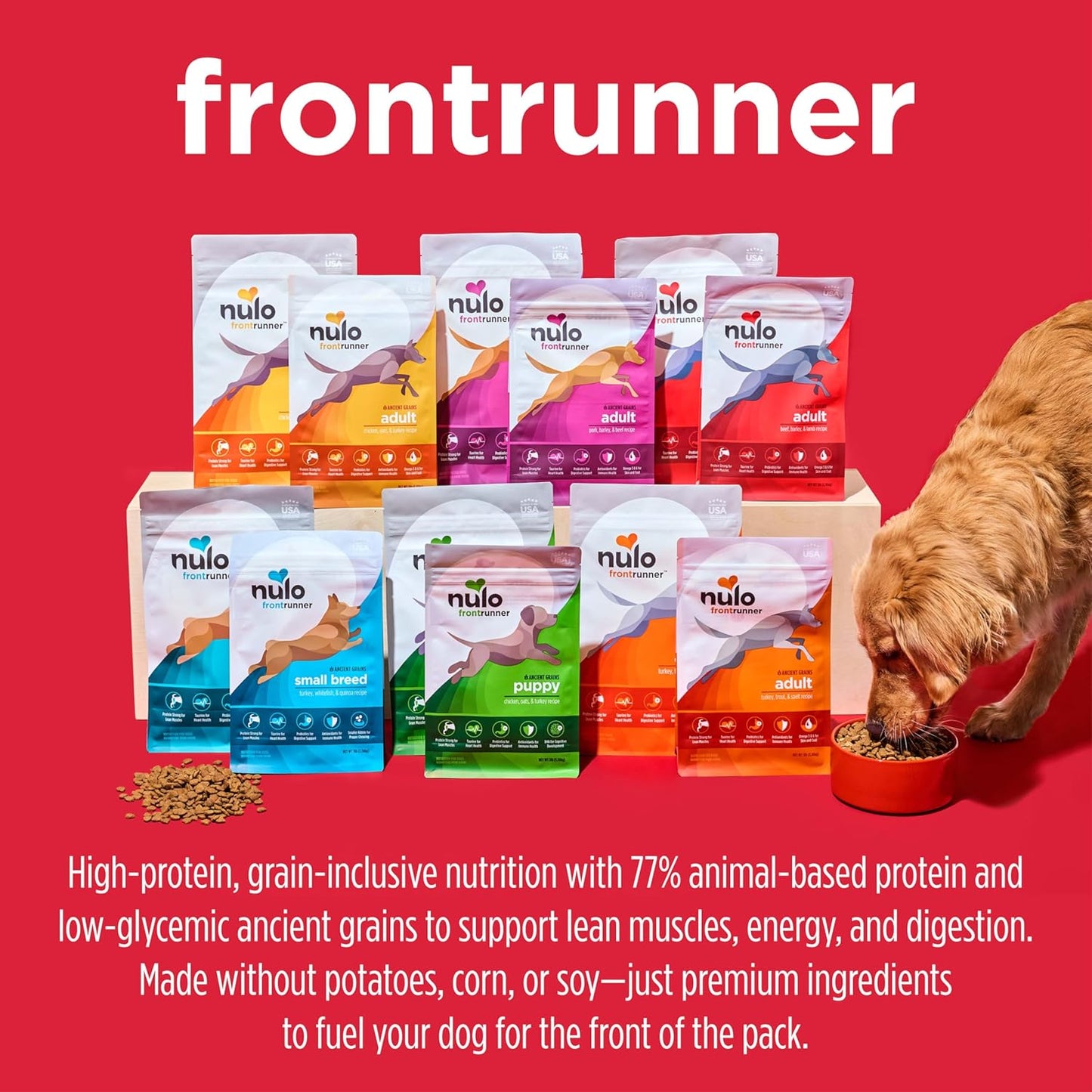 Frontrunner Ancient Grains High-Protein Dog Food, Pork, Barley, & Beef Recipe- Natural Dry Dog Food with Probiotics, Grain-Inclusive Kibble for Adult Dogs, 25 Lb Bag
