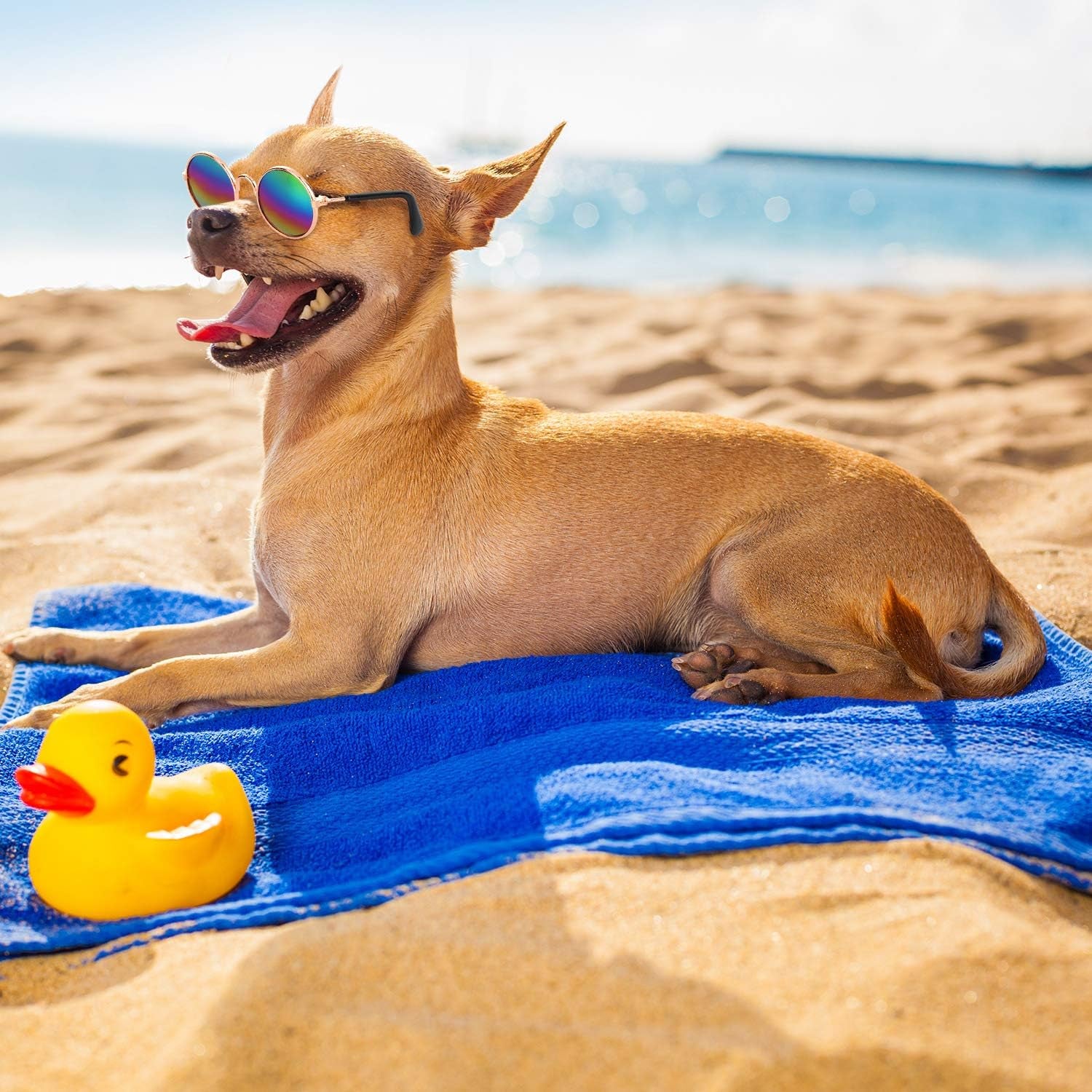 10 Pieces Cat Dog Sunglasses Funny Pet Glasses round Metal Small Classic Retro Sunglasses Pet Hippie Cute Dog Cat Cosplay Party Costume Photo Props Cosplay Glasses(Mixed Color)