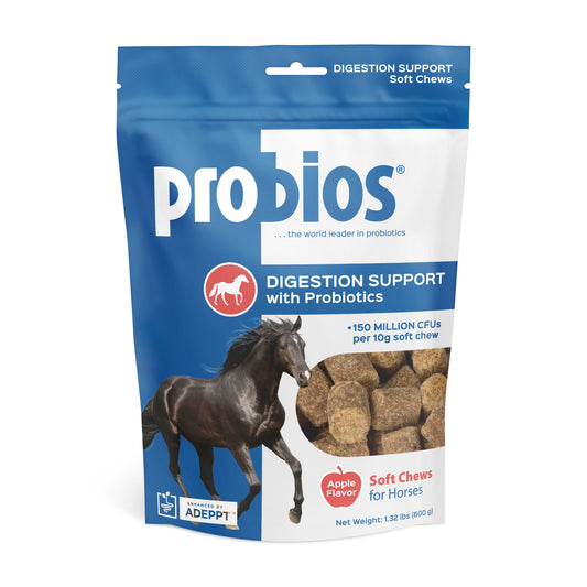 Horse Soft Chews Digestion Support, 60 Count