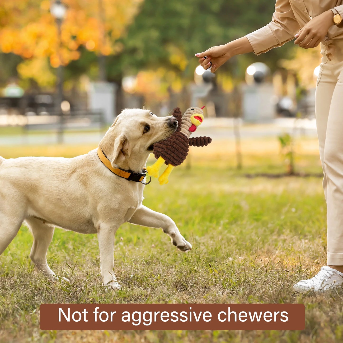 Dog Toys, 5 Pack, Squeaky Plush Dog Chew Toys Gift for Small Medium Large Dogs, Puppy