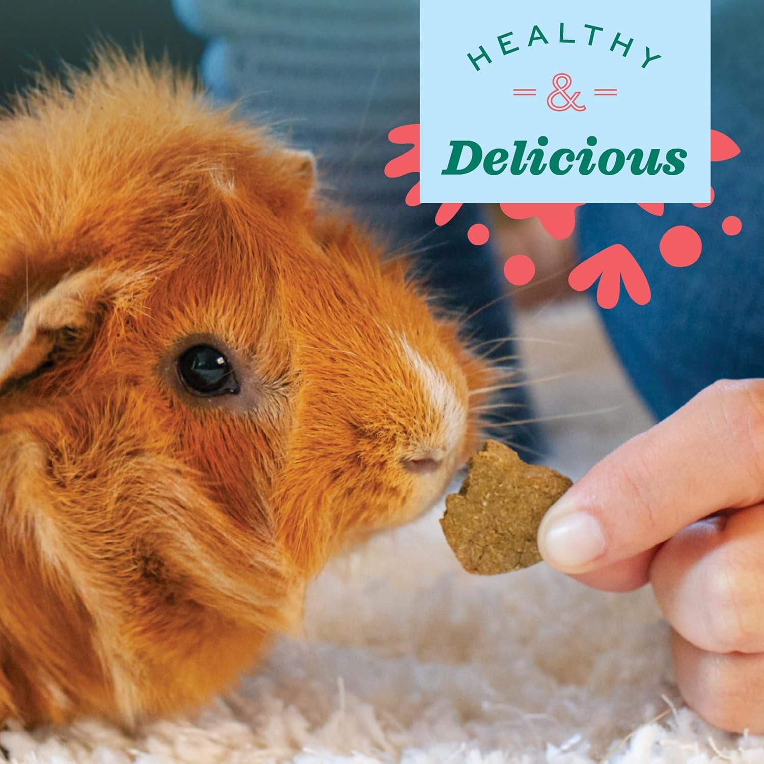 Animal Health Organic Rewards Barley Biscuit Treats, Barley Guinea Pig & Bunny Treats, Pet Snack for Rabbit, Carrot, Apple, Made with  Guinea Pig Hay, Alfalfa for Rabbit, 2.65 Oz Bag