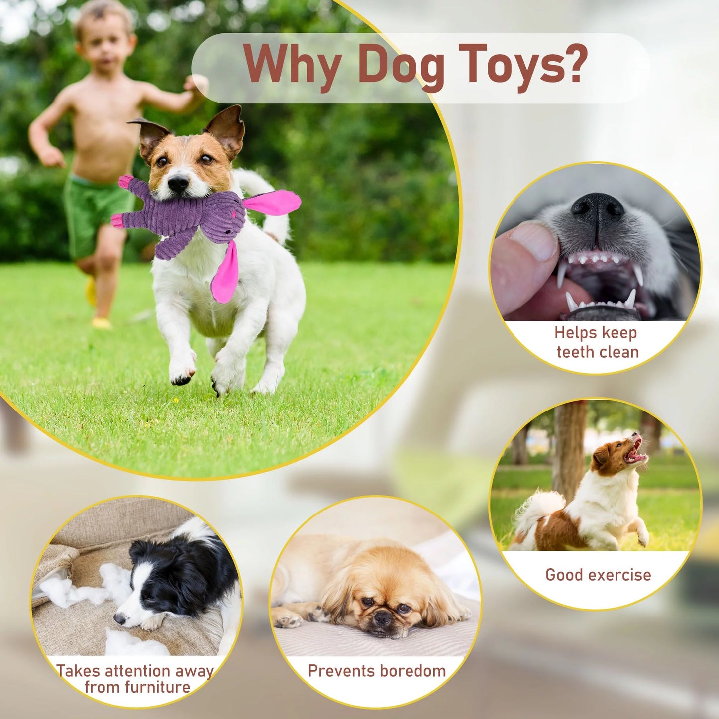 Dog Toys, 5 Pack, Squeaky Plush Dog Chew Toys Gift for Small Medium Large Dogs, Puppy